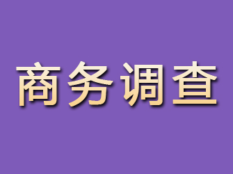 宿松商务调查