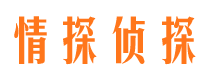 宿松市场调查